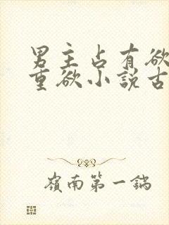 男主占有欲强且重欲小说古言封面