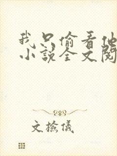 我只偷看他一眼小说全文阅读免费封面