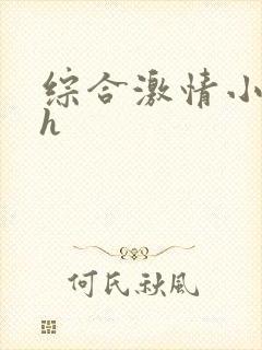 综合激情小说乱h