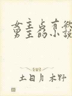 女主占有欲强宠男主的小说