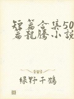 短篇合集500篇龙腾小说封面