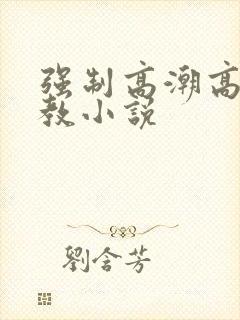 强制高潮高潮调教小说