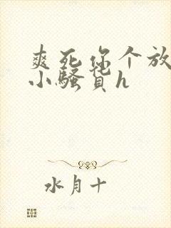 爽死你个放荡的小骚货h