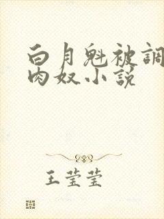 白月魁被调教成肉奴小说封面