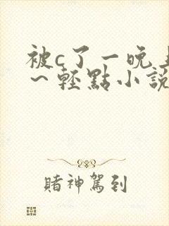 被c了一晚上啊～轻点小说