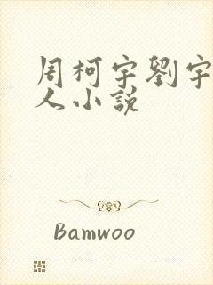 周柯宇刘宇宁同人小说