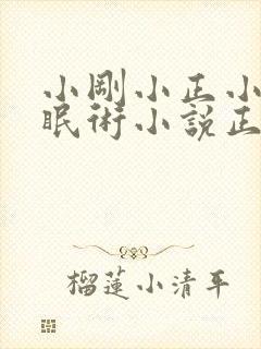 小刚小正小柔催眠术小说正版阅读