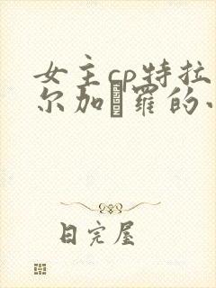 女主cp特拉法尔加·罗的小说封面