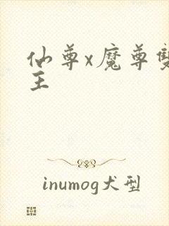 仙尊x魔尊双男主封面