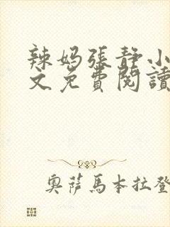 辣妈张静小说全文免费阅读最新章节封面