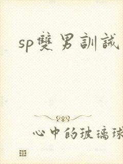 sp双男训诫文封面