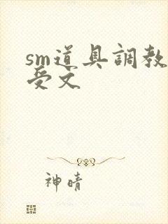 sm道具调教小受文