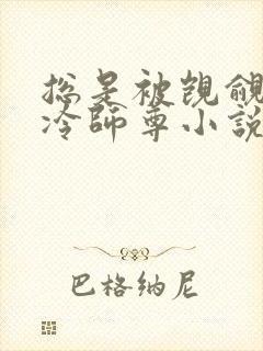 总是被觊觎的清冷师尊小说