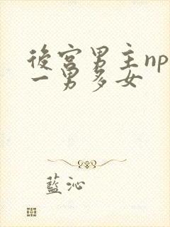 后宫男主np文一男多女封面