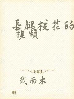 长腿校花的呻吟 视频