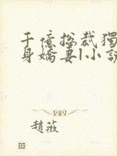 千亿总裁独宠替身娇妻l小说封面