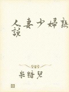 人妻少妇熟女小说