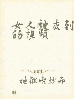 女人被爽到高潮的视频封面