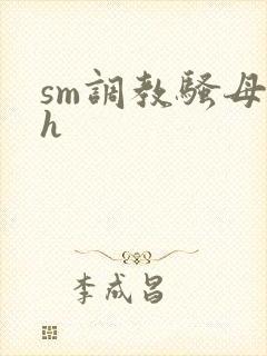 sm调教骚母狗h封面