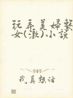 玩弄美妇系列熟女(激)小说