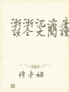 渐渐沉沦唐浪小说全文阅读封面