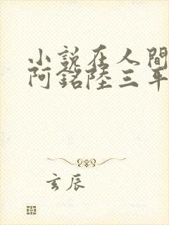 小说在人间采薇阿铭陆三平免费阅读