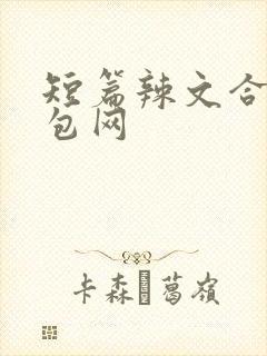 短篇辣文合集书包网