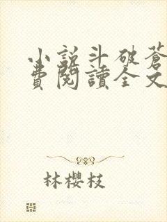 小说斗破苍穹免费阅读全文无窗口