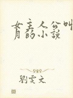 女主人公叫苏明月的小说封面