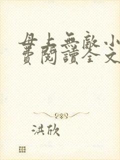 母上无敌小说免费阅读全文最新章节