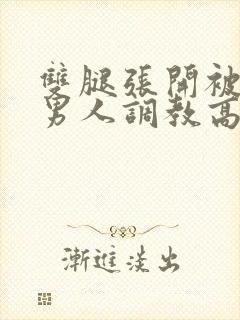 双腿张开被9个男人调教高h