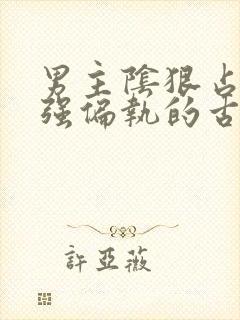 男主阴狠占有欲强偏执的古言