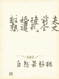 离婚后前夫总是想追我全文阅读免费