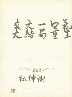 爽文一口气看到大结局重生