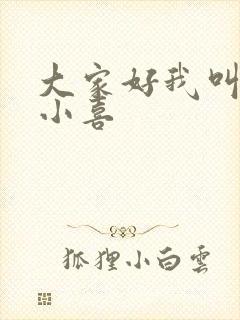 大家好我叫才林小喜