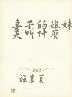 妻子的姐妹的丈夫叫什么