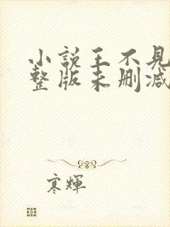 小说王不见王完整版未删减小说