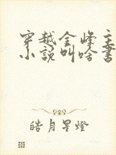 穿越金峰主角的小说叫啥书名