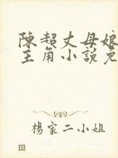 陈超丈母娘赵悦主角小说免费阅读