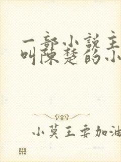 一部小说主人公叫陈楚的小说