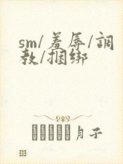 sm/羞辱/调教/捆绑