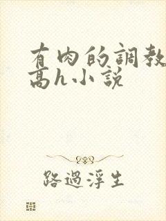 有肉的调教np高h小说