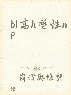 bl高h双性np