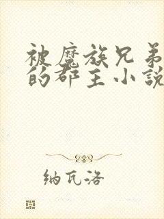 被魔族兄弟囚禁的郡主小说免费阅读全文