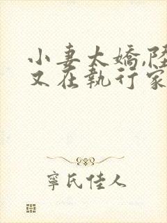 小妻太娇,陆爷又在执行家法