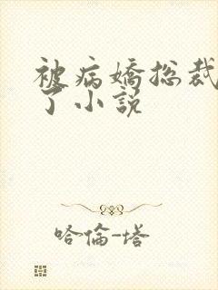 被病娇总裁缠上了小说