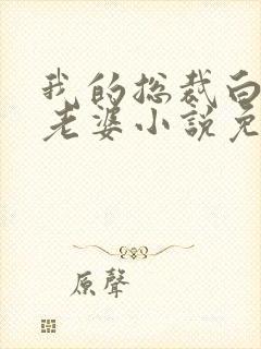 我的总裁白富美老婆小说免费