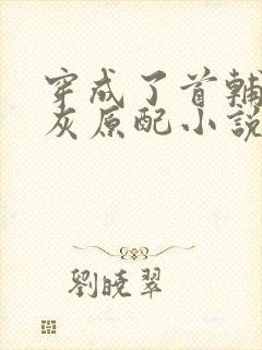 穿成了首辅的炮灰原配小说