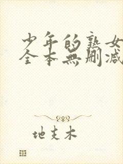 少年的熟女天国全本无删减