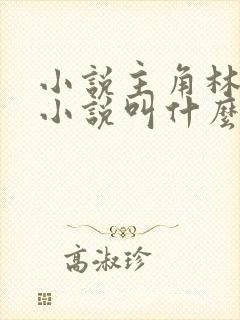 小说主角林辰的小说叫什么封面